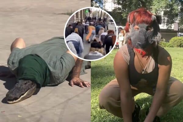 Argentina analisa multas de 750 dólares para quem circula vestido como therian