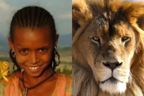 Menina de 12 anos é sequestrada por homens que queriam força-la a casar, até que um grupo de leões afasta os agressores
