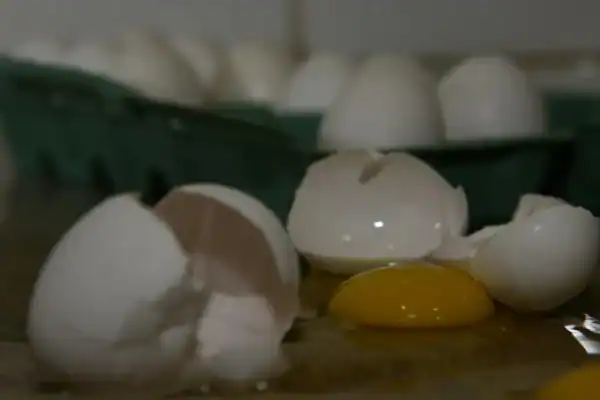 Guerra no Irã pode encarecer frango, ovos e carne suína