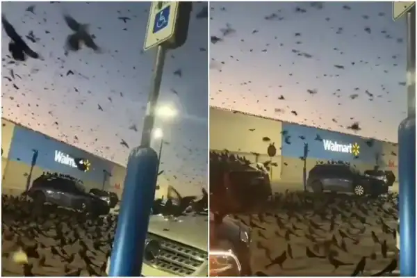 Fenômeno visto como ‘presságio da desgraça’ no céu de Israel já ocorreu em diversos países