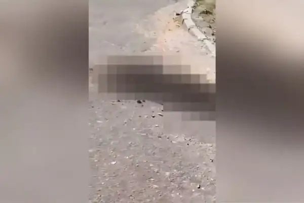 Corpo mutilado é encontrado às margens de canal no Anil, Jacarepaguá