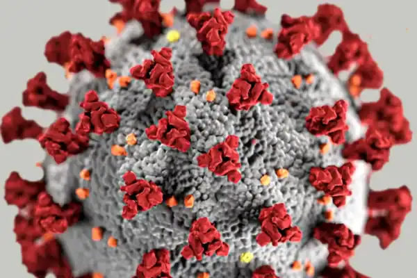 Covid-19: o que se sabe sobre a nova variante BA.3.2 detectada em mais de 20 países