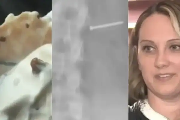 Mulher recebe R$ 74 milhões após sorvete contaminado provocar infertilidade