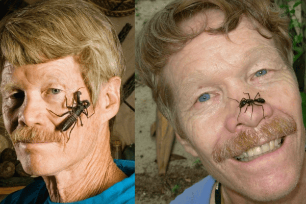 Homem se deixa picar pelos insetos mais mortais do mundo por um motivo inacreditável