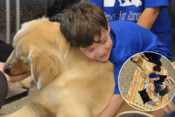 Garoto autista de 5 anos que jamais permitiu ser abraçado ou tocado forma seu primeiro vínculo profundo com seu cão terapeuta