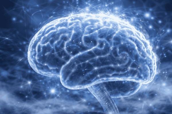 Ciência recupera atividade em cérebro congelado pela 1ª vez