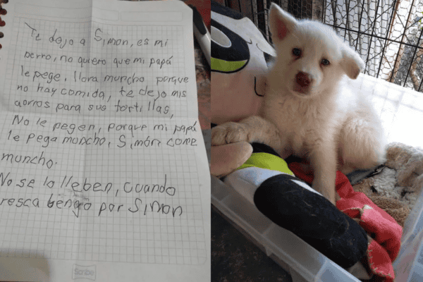 Um menino de 12 anos entregou o cachorrinho a um abrigo para que o pai não pudesse machucá-lo