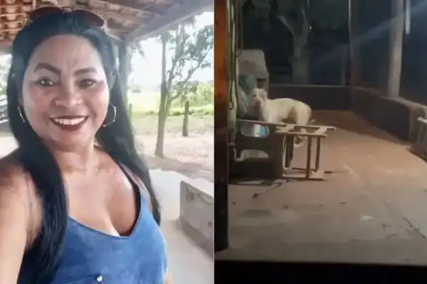 Investigação policial apura morte de mulher após ataque de pitbull