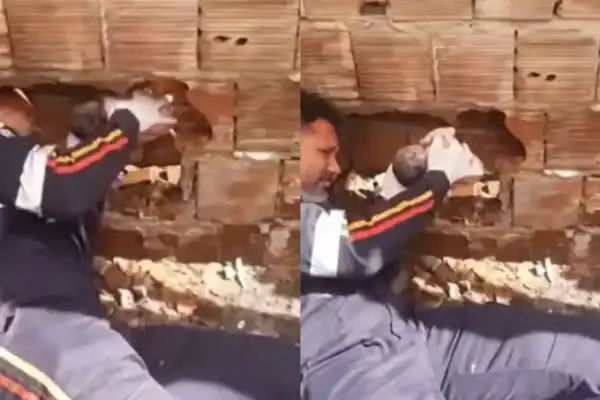 Recém-nascido é encontrado vivo entre paredes de duas casas na Paraíba