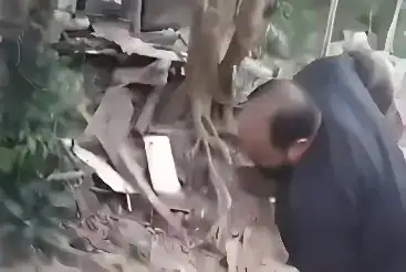 Agiota é levado ao ‘Tribunal do Crime’ após empurrar idosa durante cobrança de dívida