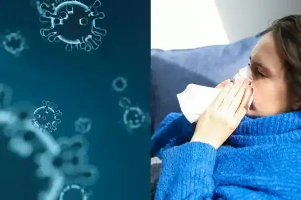 Especialista detalha distinções entre gripe, resfriado, H1N1 e pneumonia