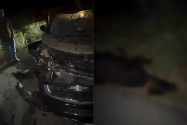 Cantor de forró sofre acidente após boi atravessar pista