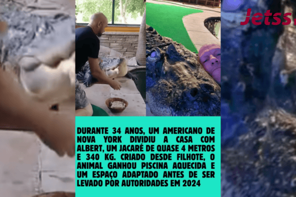 Americano viveu por 34 anos com jacaré de quase 4 metros dentro de casa