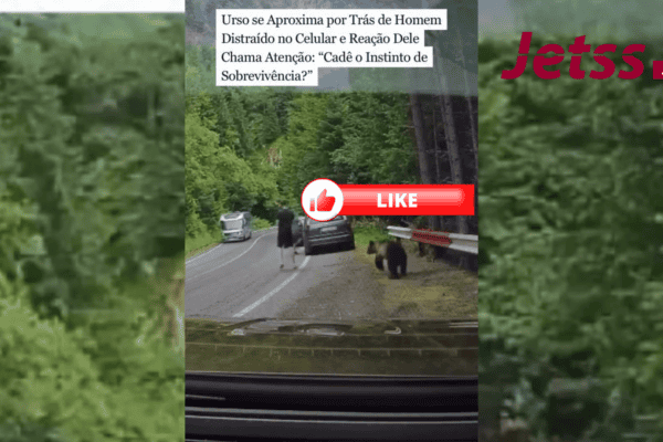 Urso se aproxima por trás de homem distraído no celular, e reação dele chama atenção: “Cadê o instinto de sobrevivência?”