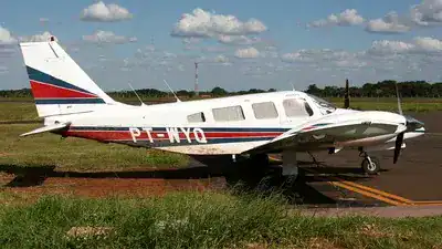 Pesquisadora alemã especialista em tamanduás está entre as vítimas de queda de avião no MS