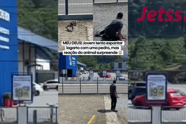 MEU DEUS! Jovem tenta espantar lagarto com uma pedra, mas reação do animal surpreende