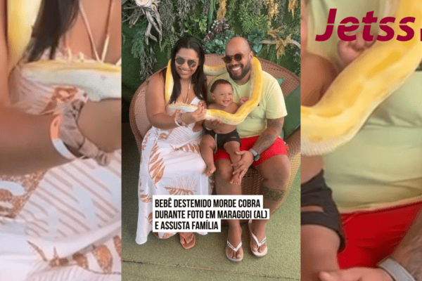 Bebê destemido morde cobra durante foto em Maragogi (AL) e assusta família.