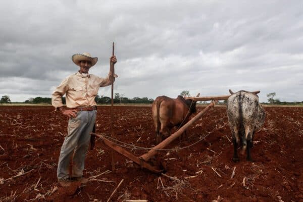Crise na carne bovina e retração no frango pressionam frigoríficos nos EUA