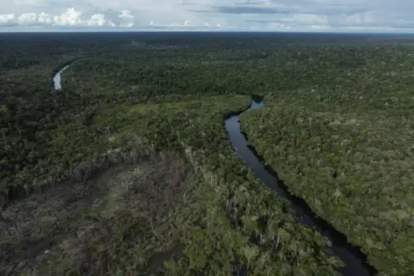 Amazônia tem maior recuo do desmatamento da década