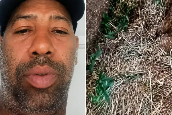 Homem que desapareceu durante a madrugada é encontrado morto em Salvador