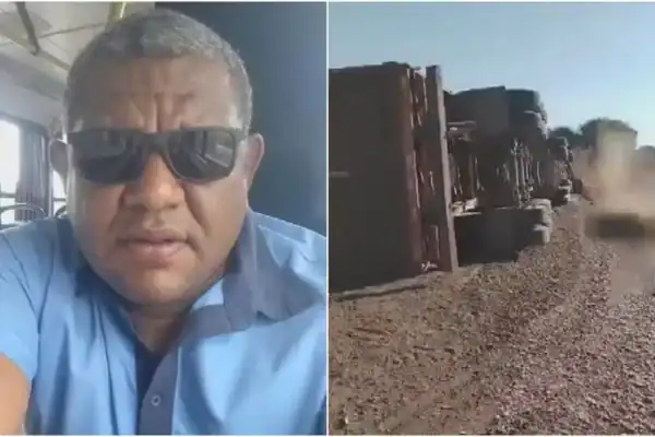 Caminhoneiro escapa de acidente na BR-020 e morre minutos depois após ataque de abelhas