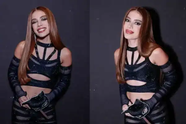 Fã de Anitta ameaça colunista e caso chega à Polícia; entenda os detalhes