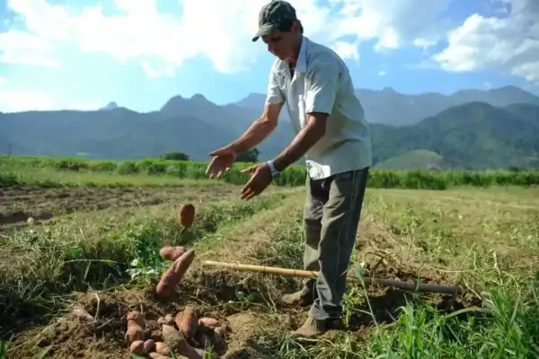 CMN estende alcance da renegociação de dívidas rurais para produtores atingidos por eventos climáticos