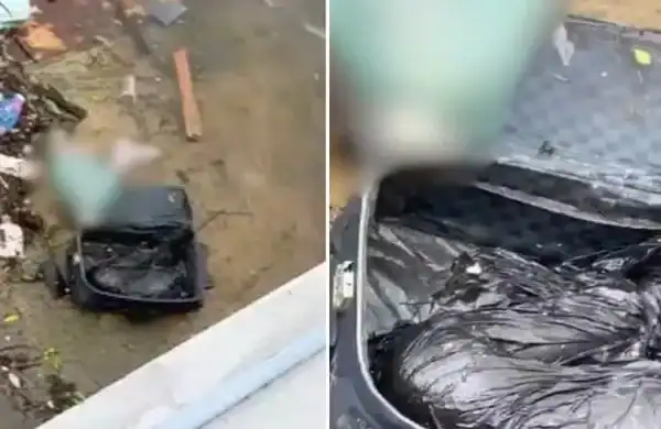 Mala macabra com duas pernas humanas aparece boiando em São Vicente