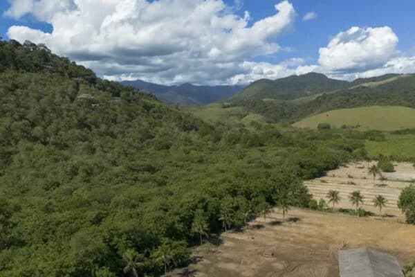 Agricultura conquista 11 milhões de hectares na Mata Atlântica em 41 anos